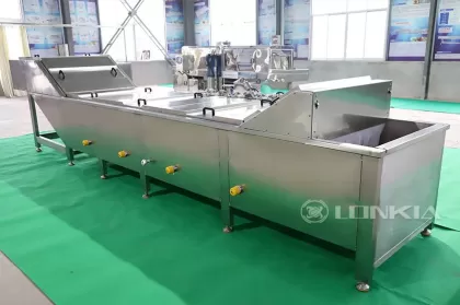 Lonkia Continuous Tomato Blanching Machine