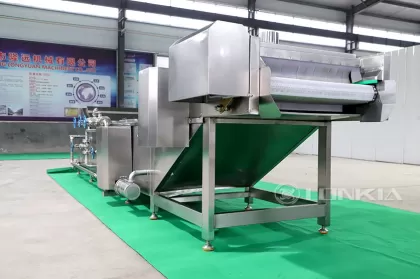 Tomato Blanching Machine in Factory