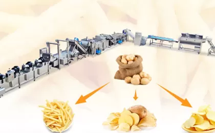 French Fries Potato Chips Line System