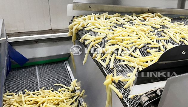 Fully Automatic French Fries Machine Price in China