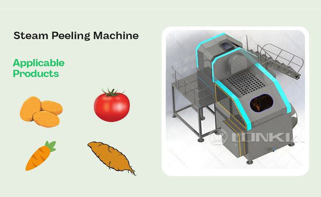 Steam Peeling Machines