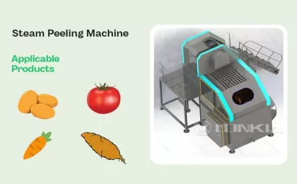 Do You Understand the six Advantages of Steam Peeling Machines?