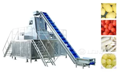 Steam Peeling Machine Is an Indispensable and Important Equipment in Fruit and Vegetable Processing Plants