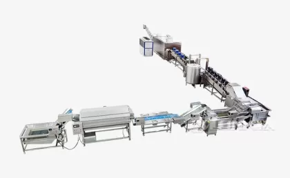 Introduction to French Fries Production Line Equipment