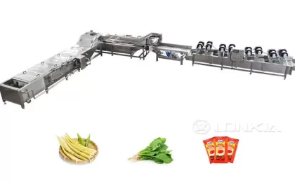 Bamboo Shoots Processing Line Continuous Blanching Machine Features