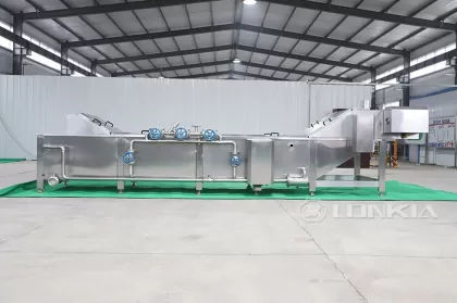 Continuous Tomato Blanching Machine