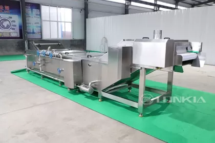 Tomato Hot Water Blanching Machine